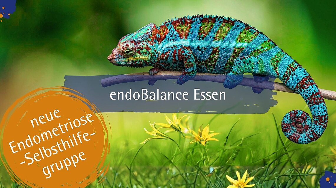 Wie ein Chamäleon zeigt sich Endometriose oft gut getarnt und in vielen Facetten – und bleibt deshalb lange unentdeckt.