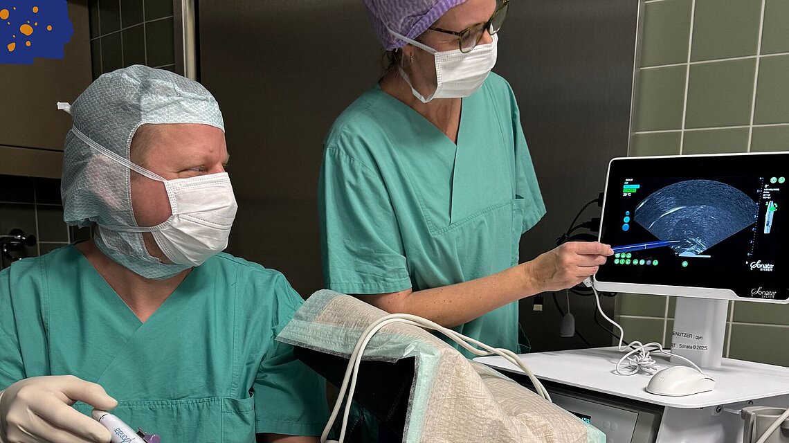 Spezielles Hands-on-Training zur Behandlung von Myomeneln. 